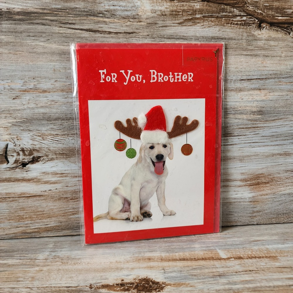 Papyrus Christmas Card For Brother Yellow Lab Dog Reindeer Antlers 07053712